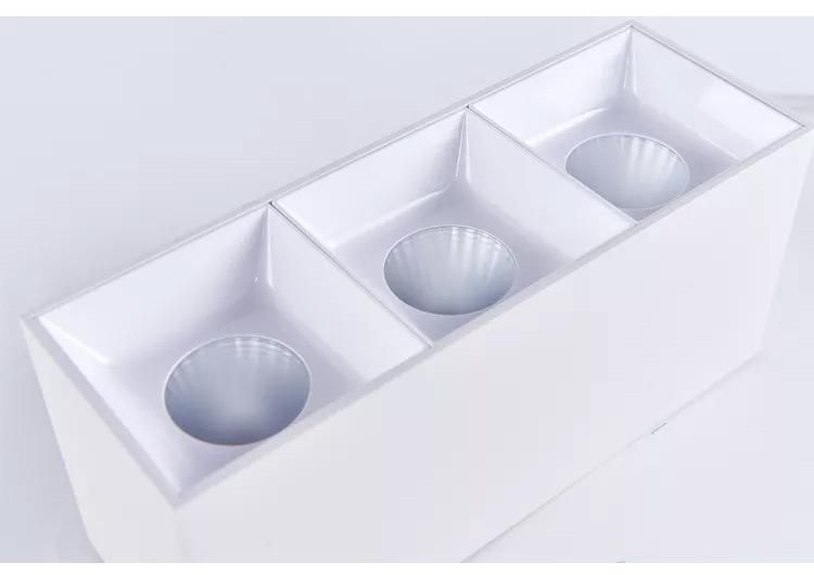 Contemporary Popular Surface Install LED Commercial Black White LED Downlight