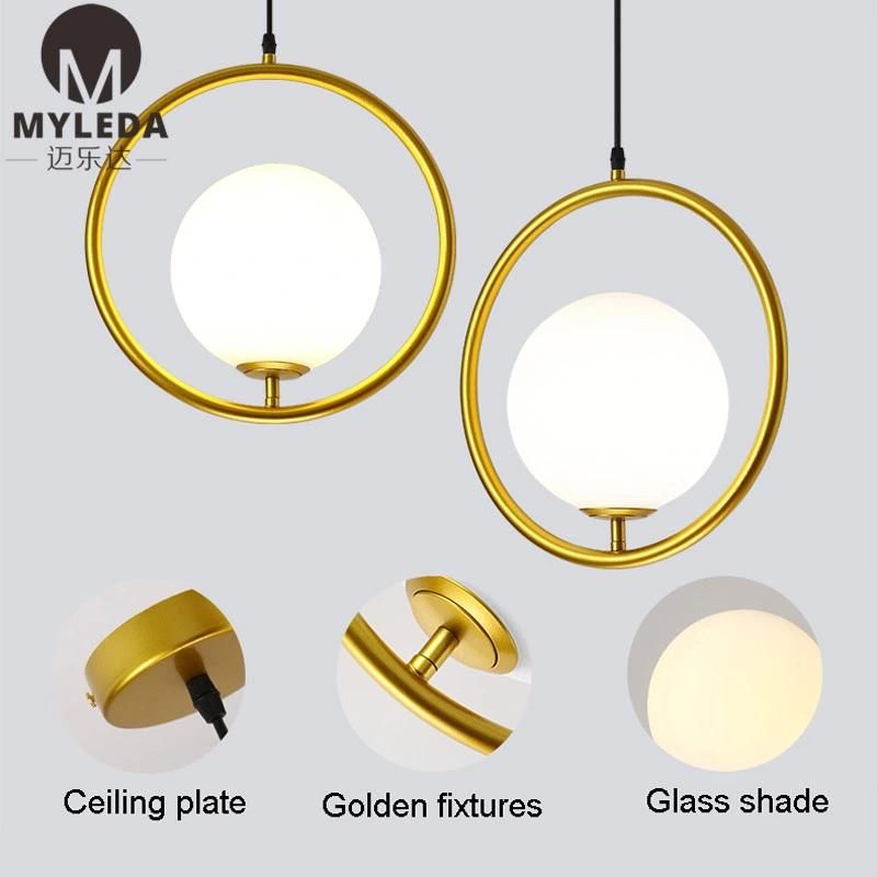 Modern Metal Glass Suspension Style LED Bulb Light Source Pendant Light
