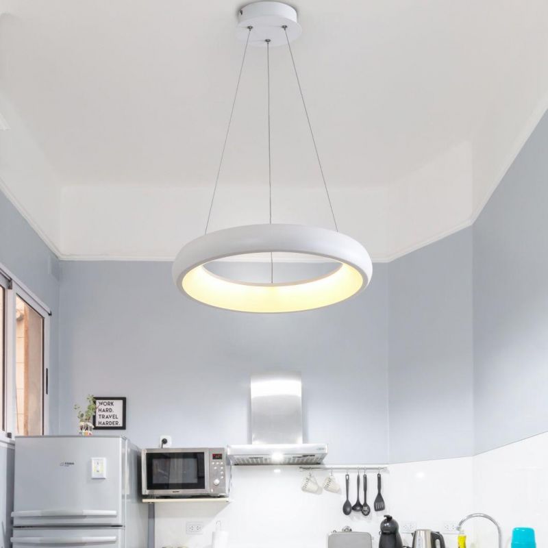 Designer Ceiling Pendants Lighting Aluminum Pendant Lamp for Living Room