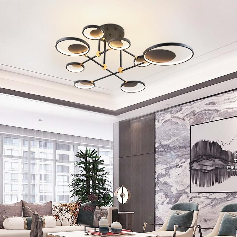 LED Decorative Pendant LED Lights by China Factory for Hotel /Shop