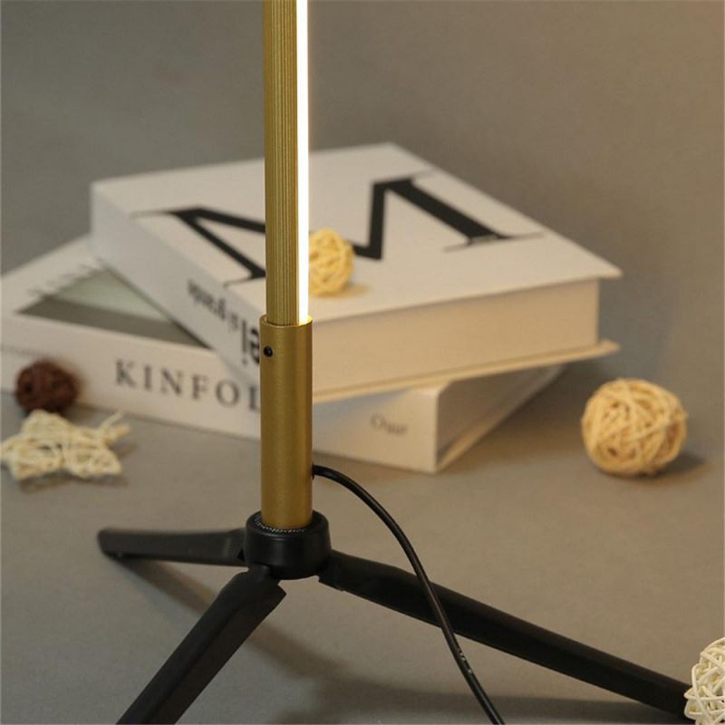 Simple Floor Lamp Study Bedroom Metal Line Strip Standing Lamps Designer Creative Home Decor Light Fixtures