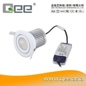 SAA, FCC, CE Adjustable Ceiling Light