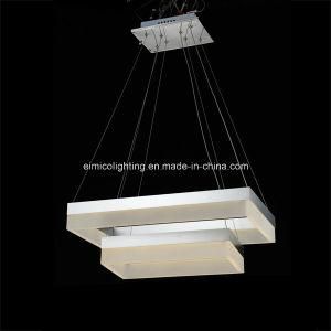 Modern Decorated Acrylic Pendant Lighting (EM1823)