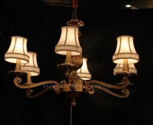 Modern Decoration Pendant Lamp, Home Chandelier