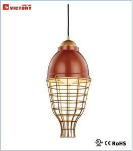Modern Interior Aluminum Pendant Hanging Lamp for Indoor Lamp