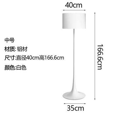 Nordic Simple Designer Floor Lights for Living Room Ssofa Bedroom Study Black LED Stand Light (WH-MFL-58)
