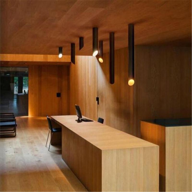 Surface Mounted Tube LED Spotlight Interior LED Lighting Modern Home Pipe Ceiling Spotlight