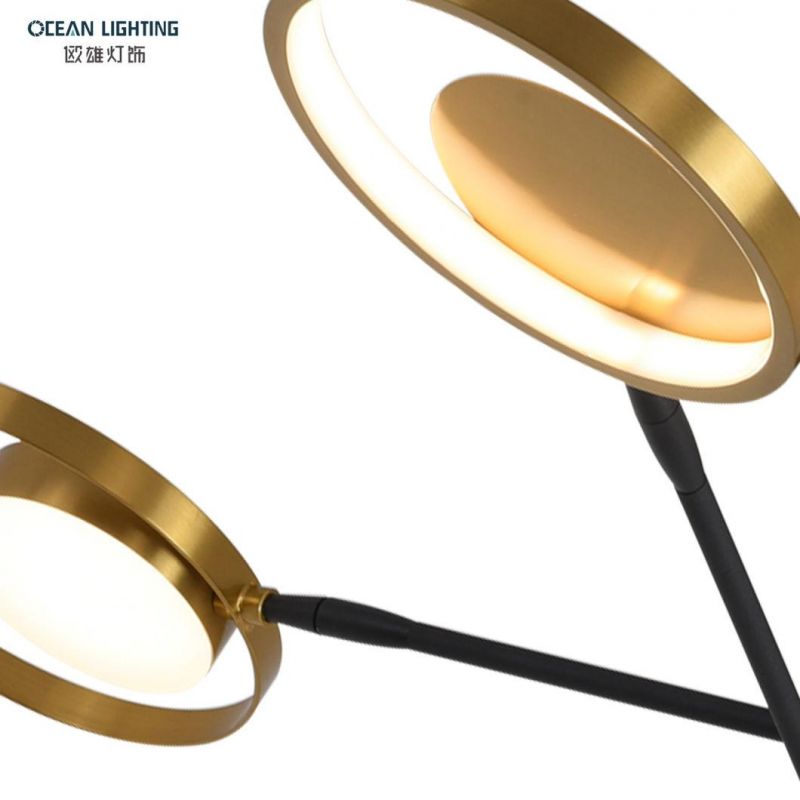 Ocean Lighting Fancy Lighting Gold Luxury Pendant Lamp Ceiling Light