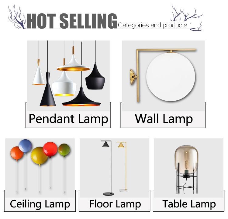 Beautiful Pendant Lamp with Cheap Price