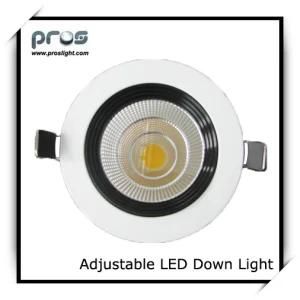 CE&RoHS Adjustable 10W LED Down Light (PL-D-AD10W-W)