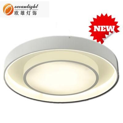 Hot Sale Acrylic Ceiling Decorative Pendant Lighting (OM1110)