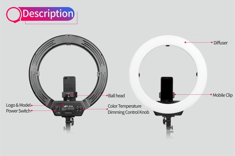 Custom Brand 19 Inch LED Ring Light Portable Photo Studio Photography Ring Light with Tripod Stand