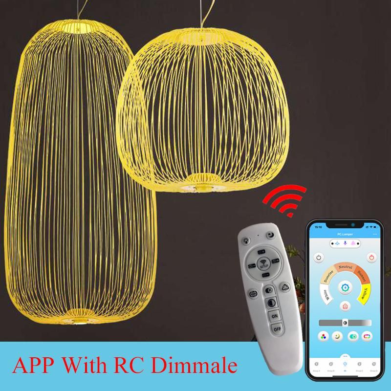 Foscarini Spokes Pendant Light 1/2 Iron Bird Cage Lamp Dining Room Kitchen Spokes Suspension Lamp (WH-AP-279)