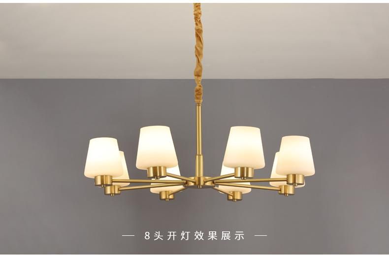 The Latest Style Aindoor Copper Housing LED Pendant Light Wall Ceiling Lighting