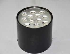 LED Open-Mounted Down Lamp Black 3000k \650k