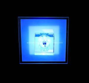 LED Wall/Ceiling Light (Z507601G01)