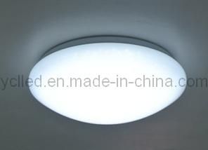 11W Professional LED Ceiling Light Series (YC-CE2221-11)
