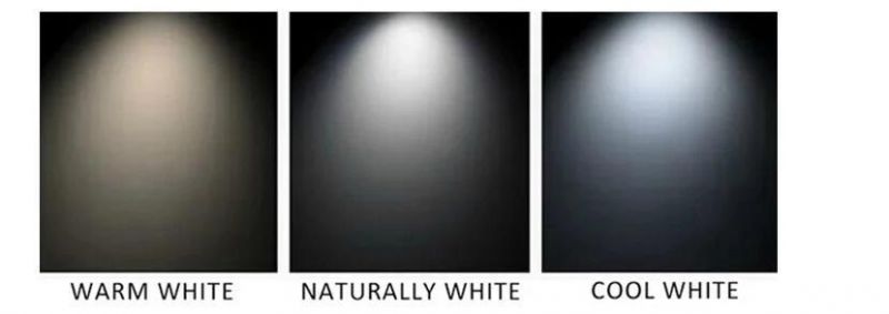 Distributor LED COB Downlights Bulbs 10W 15W 25W 40W 50W