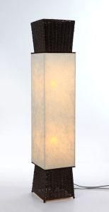 Floor Lamp (KM-F44)