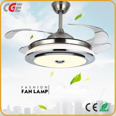 Modern DC Remote Control Ceiling Fan Light Fan LED Light, Summer Use Ceiling Fan Household Use Ceiling Fan Chandelier Light