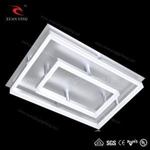 Creative Acrylic Modern Lamp LED Ceiling Lighting (Mx20361)