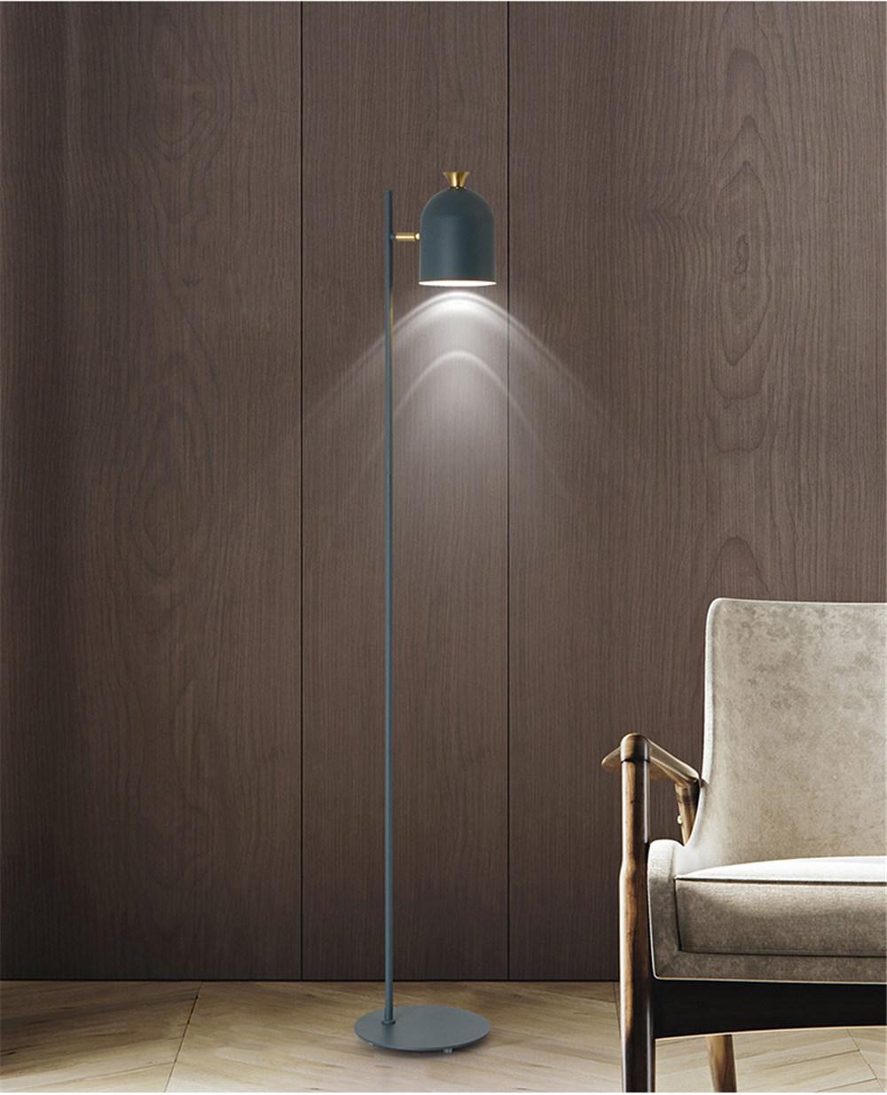 Macaroon Floor Lamps for Living Room Bedroom Study Desk Floor Light Creative Macaron Wrought Iron Vertical Standing Lamps