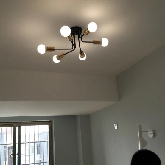 Industrial Flush Mount Ceiling Lights Fixtures for Home Lighting (WH-LA-16)