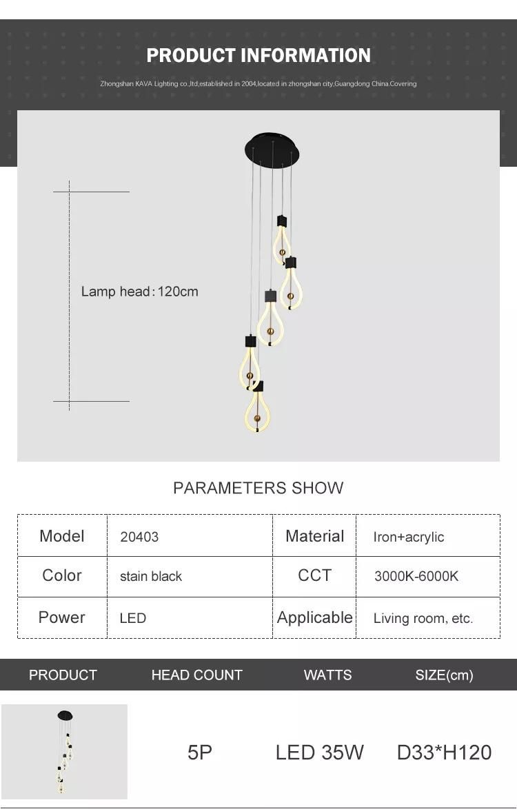 Fashionable Hanging Modern Luminous Sport Black LED Chandelier Pendant Light