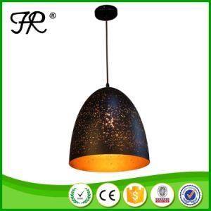 Factory Supply Iron Ceiling Pendant Light