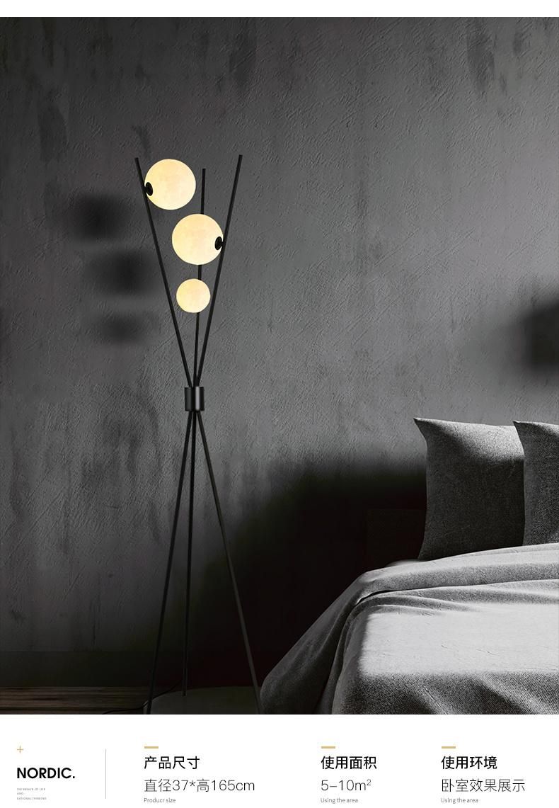 Nordic Post-Modern Floor Lamp 3D Printing Moon LED Lamps for Living Room Nordic LED Floor Lamp (WH-MFL-119)