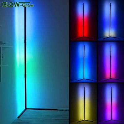 Smart Modern RGB Color Changing Mood Lighting Dimmable LED Floor Lamp Music Sync Lighting Presets Creative DIY Voice Control