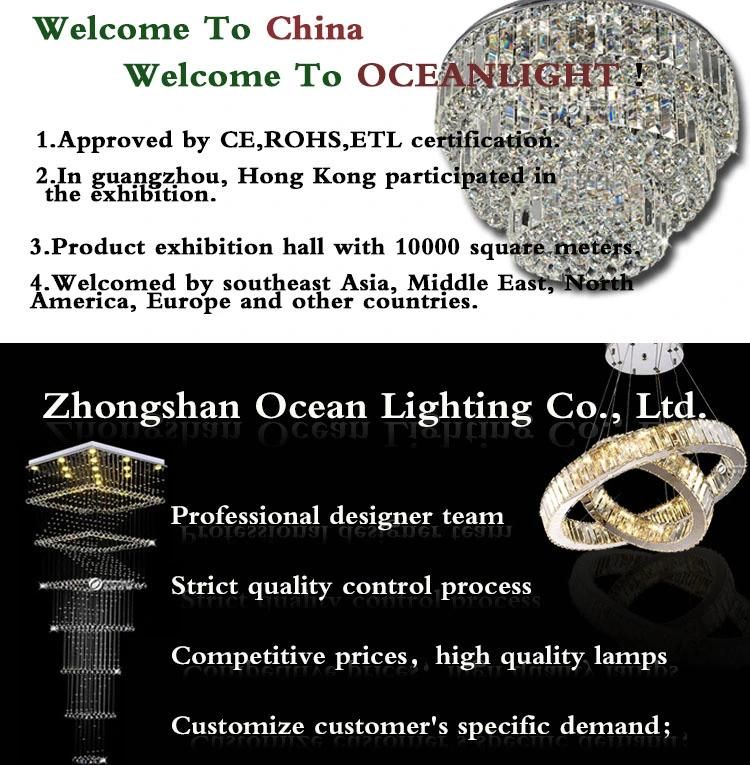 2020 New LED Pendant Lamp Project Chandelier Light for Hotel Om8201007-29