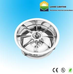 60W 80W Induction Lamp Down Lighting (LG0362 (12&prime;&prime;))