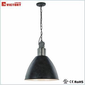 Industrial Decorative Iron Home&Hotel Hanging Pendant Light