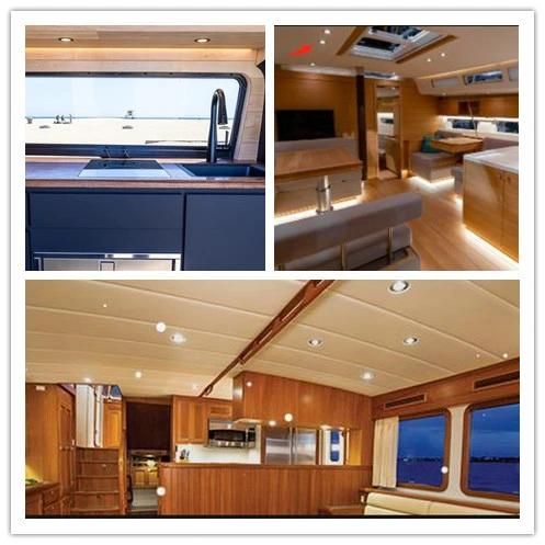 316 Stainless Steel 24V Marine Downlight RV LED Recessed Light