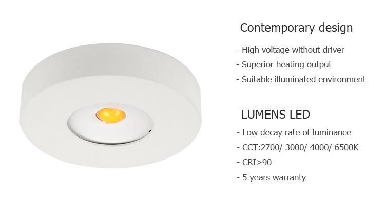 Mini LED Cabinet Spot Light for Showcase Display Cases Showroom COB Downlight