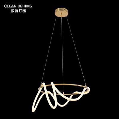 Modern Simple PVC Iron Tube Ring 60W Modern LED Chandeliers