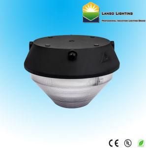 Energy Efficient Canopy Lighting (LG03-702)