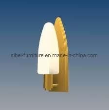 Bdl-16 Five Star Hotel Room/ Modern/ Decorative/ Metal/ Glass/ Custom Sconce