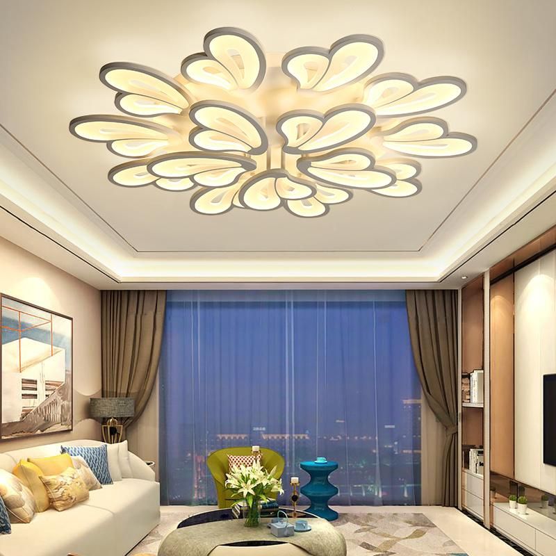 Standard Acrylic Ceiling Light Fixture for Living Room Bedroom Lighting Fixtures (WH-MA-51)