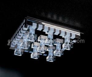 Ceiling Light (20021/9Y)