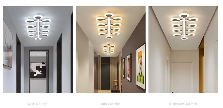 Modern Design Acrylic LED Ceiling Lighting / Lamp for Hallway/Lobby/Entryway Zf-Cl-027