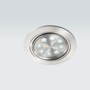 LED Adjustable Downlight (LDC809B)