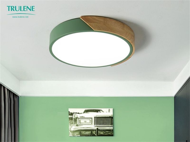 Smart Modern Bedroom Living Room Home Lighting LED Ceiling Light