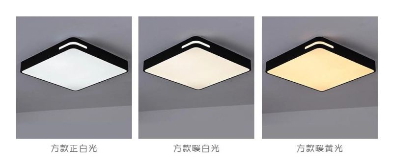 China Factory Modern Unique Iron Ceiling Pendant Light for Living Room Bedroom LED Lamp