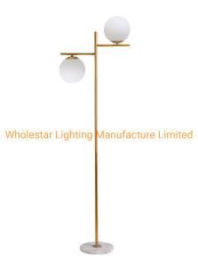 Modern Glass Floor Lamp (WHF-0115)