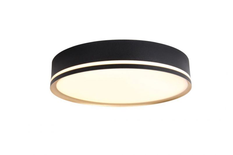 Masivel Lighting Living Room LED Ceiling Light Modern Stylist LED Lighting