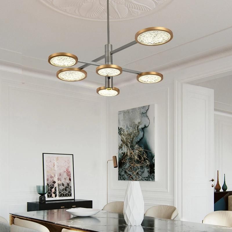 Contemporary LED Classic Gold Ceiling Lamp Circle Ring Chandeliers