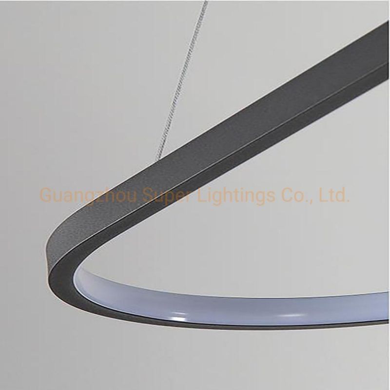 2022 Modern New Style Pendant LED Light for Home