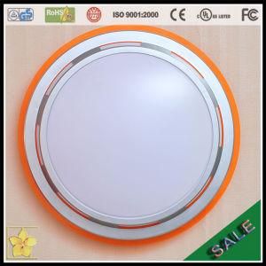 LED Ceiling Light (ZYY1A20-005)